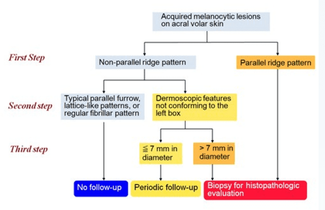 3-stopniowy algorytm oceny zmian w lokalizacji akralnej